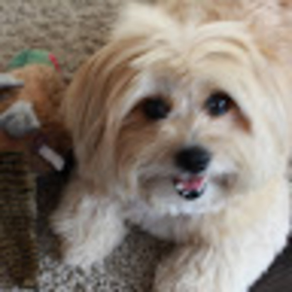 Meet your Posher, Rhonda - Picture 1 of 1